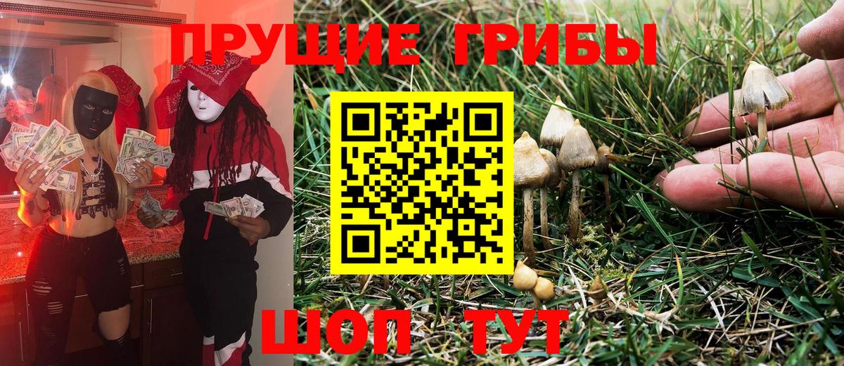 Каменка  Псилоцибиновые грибы Magic Shrooms  Вход с VPN  Галлюциногенные грибы MAGIC MUSHROOMS 